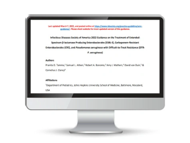 Article inside of a computer screen that is not readable